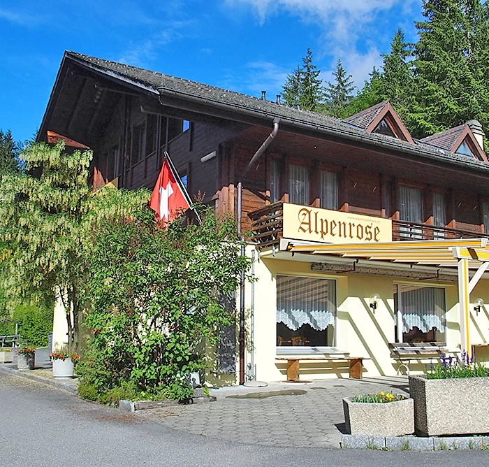 Grosses Holzhaus im Grünen mit Vorplatz aus Beton.