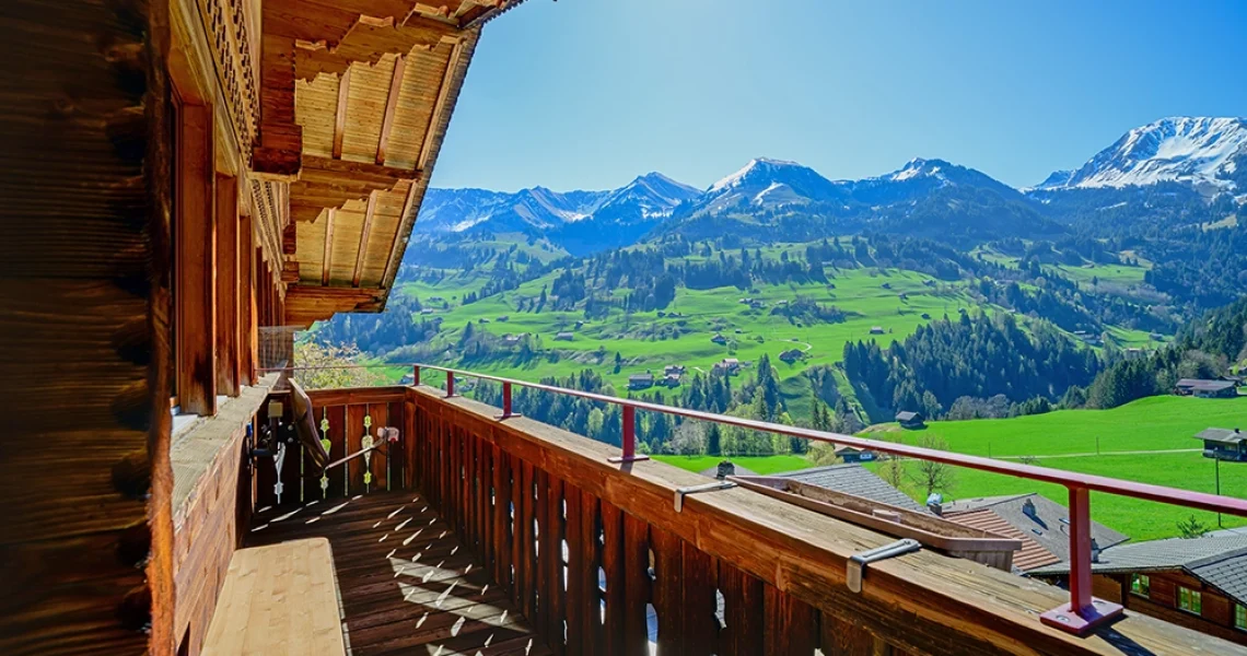 Haus-Adlerhorst_Balkon-mit-Aussicht
